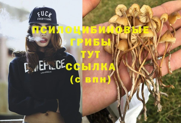 MDMA Premium VHQ Магадан