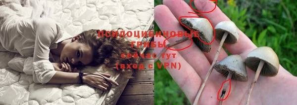метадон Медногорск