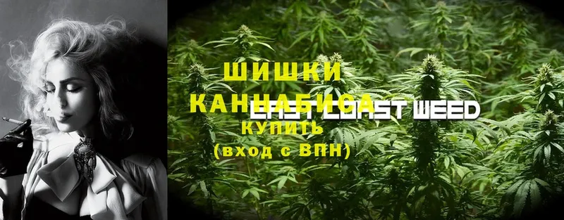 МАРИХУАНА Bruce Banner  купить наркоту  Жиздра 