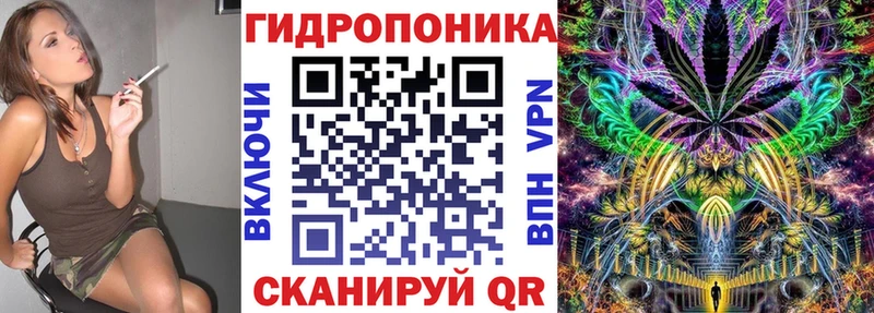 Бошки марихуана гибрид  ссылка на мегу как войти  Жиздра  купить наркотики сайты 